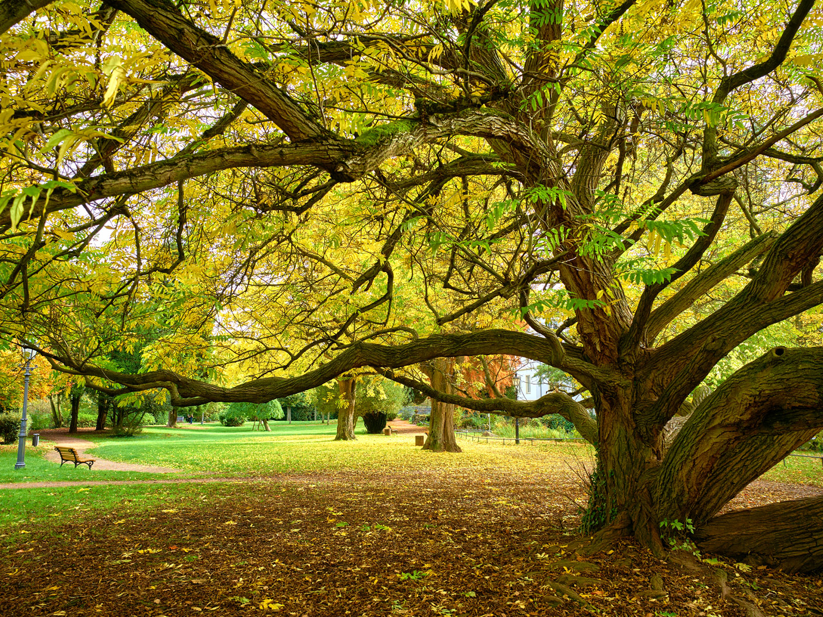 Schlosspark Bad Kreuznach – Idylle im Herbst