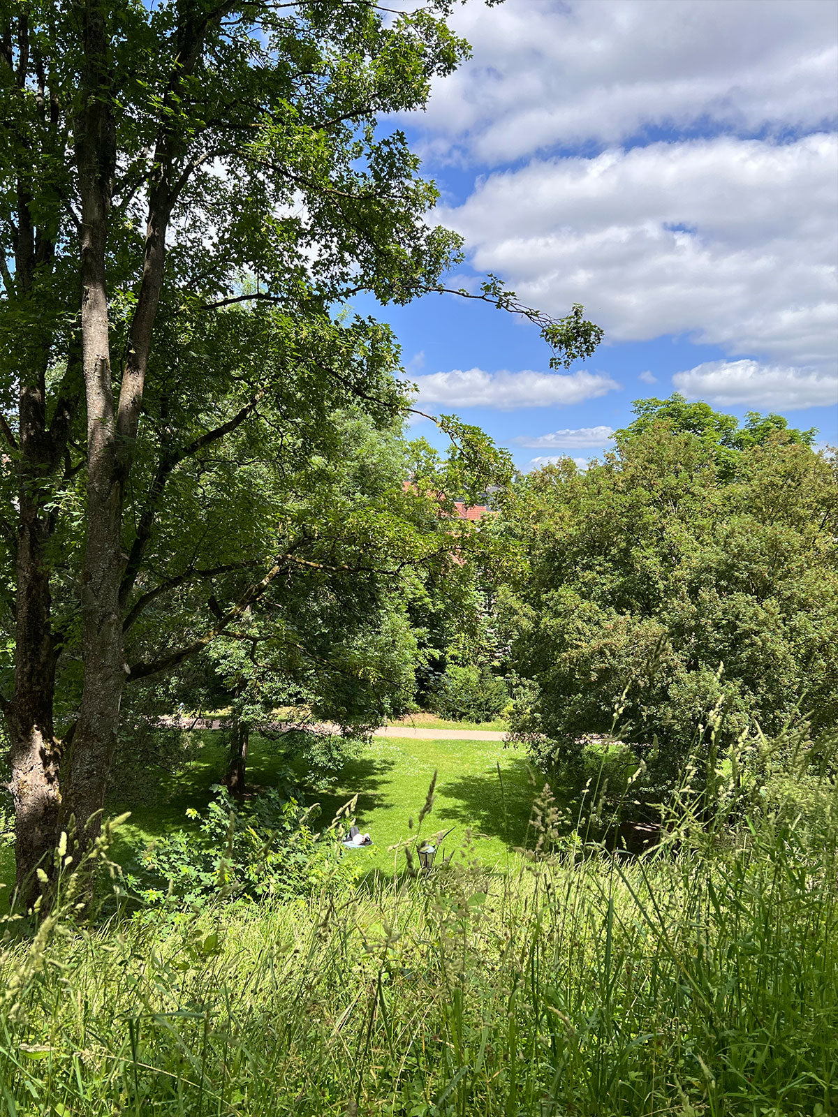 Schlosspark Bad Kreuznach – Parkimpression im Sommer