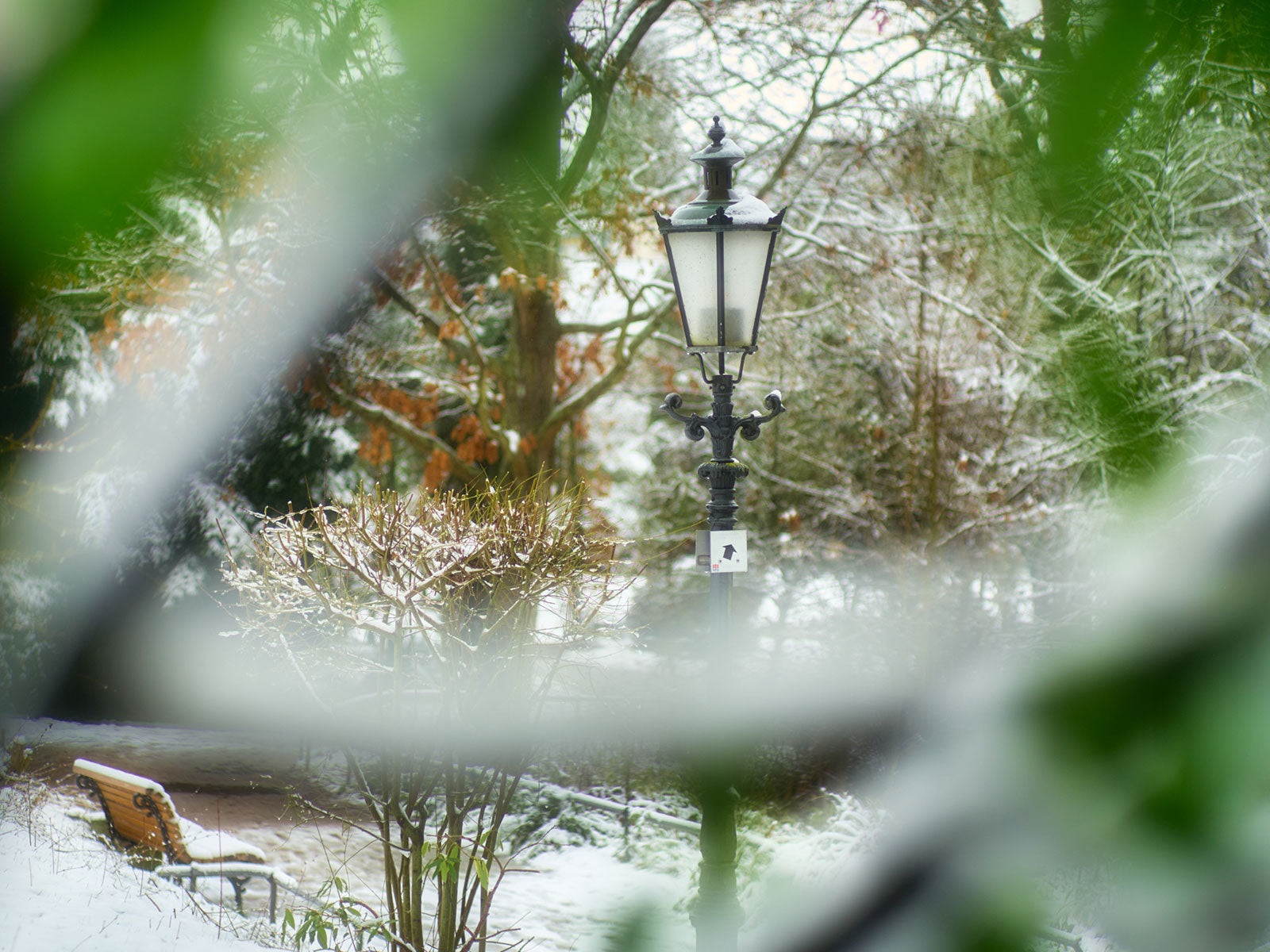 Schlosspark Bad Kreuznach – Winterstimmung