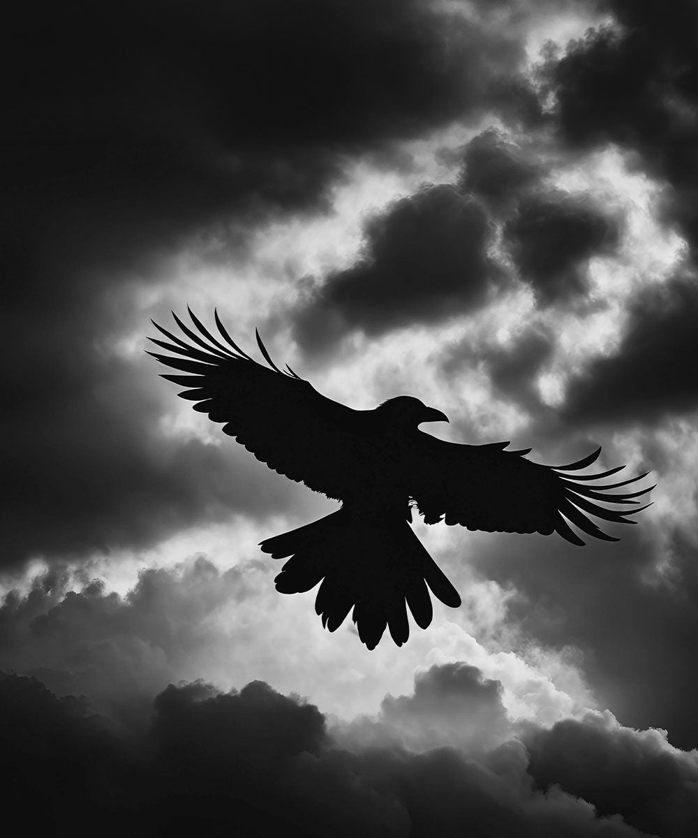 30.10.2026 ・ 19:00 - 21:30 Uhr・ Lesung Edgar Allan Poe