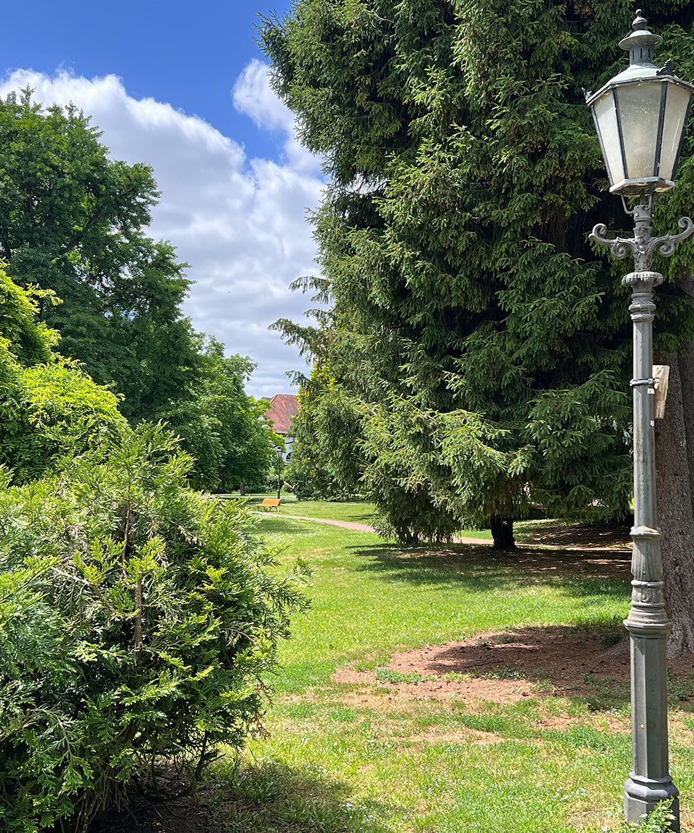 05.07.2026 ・ 15:00 - 16:00 Uhr・ Sommer im Schlosspark