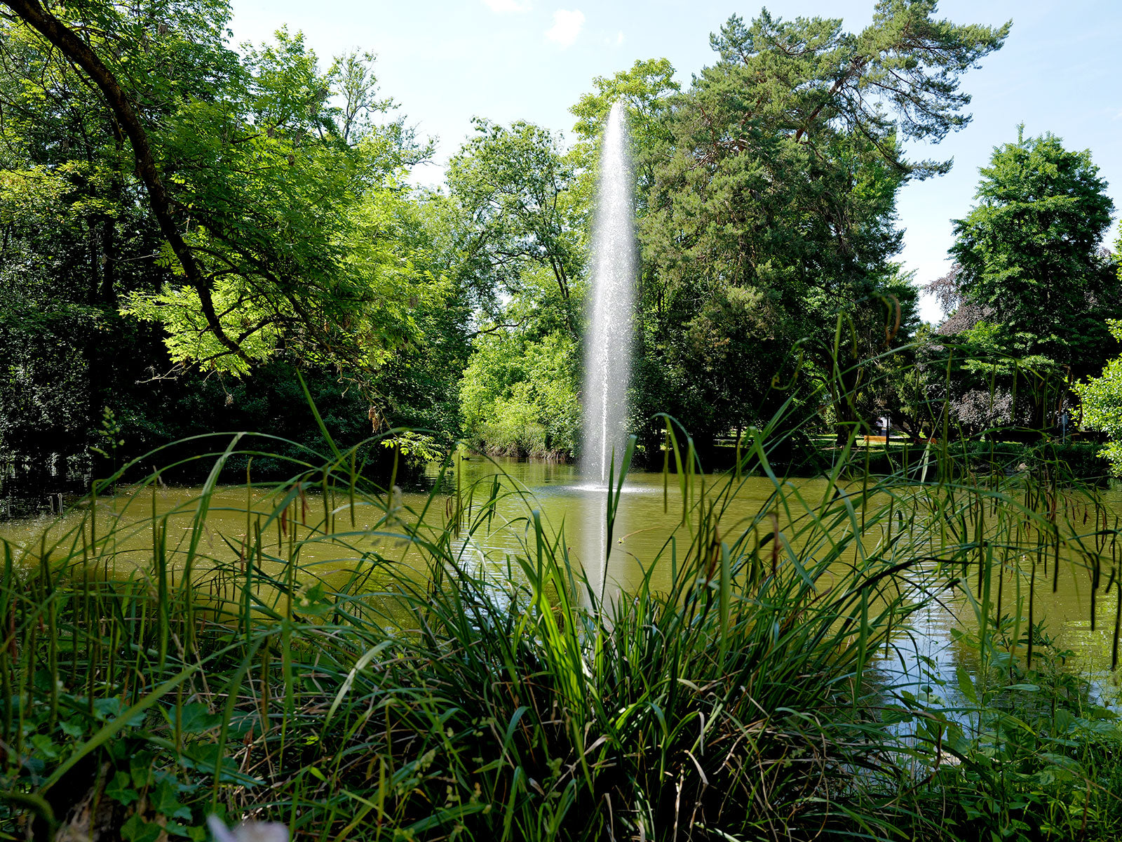 Schlosspark Bad Kreuznach - Blick auf den Weiher mit Fontaine