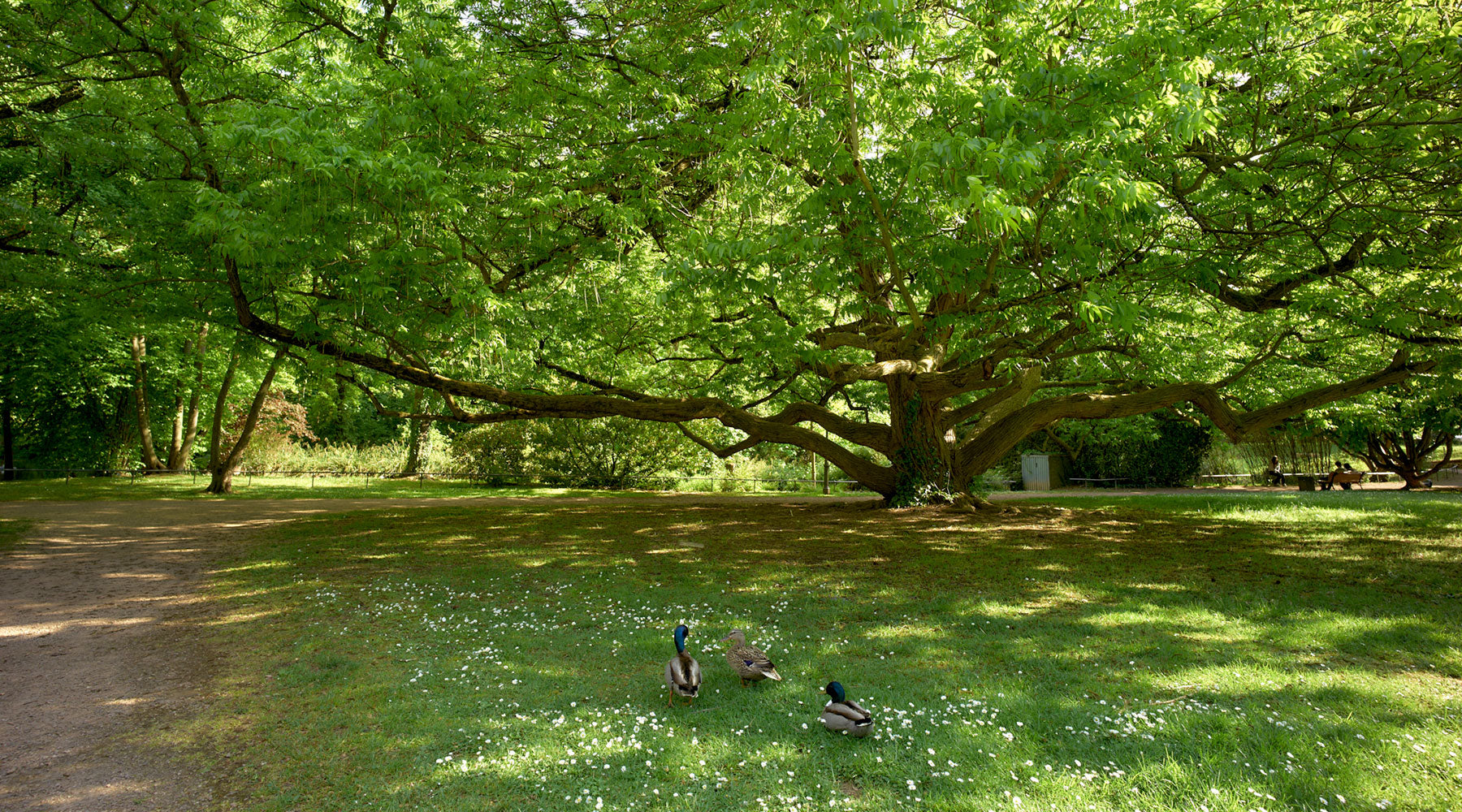 Museum Schlosspark Bad Kreuznach - unterwegs im Schlosspark