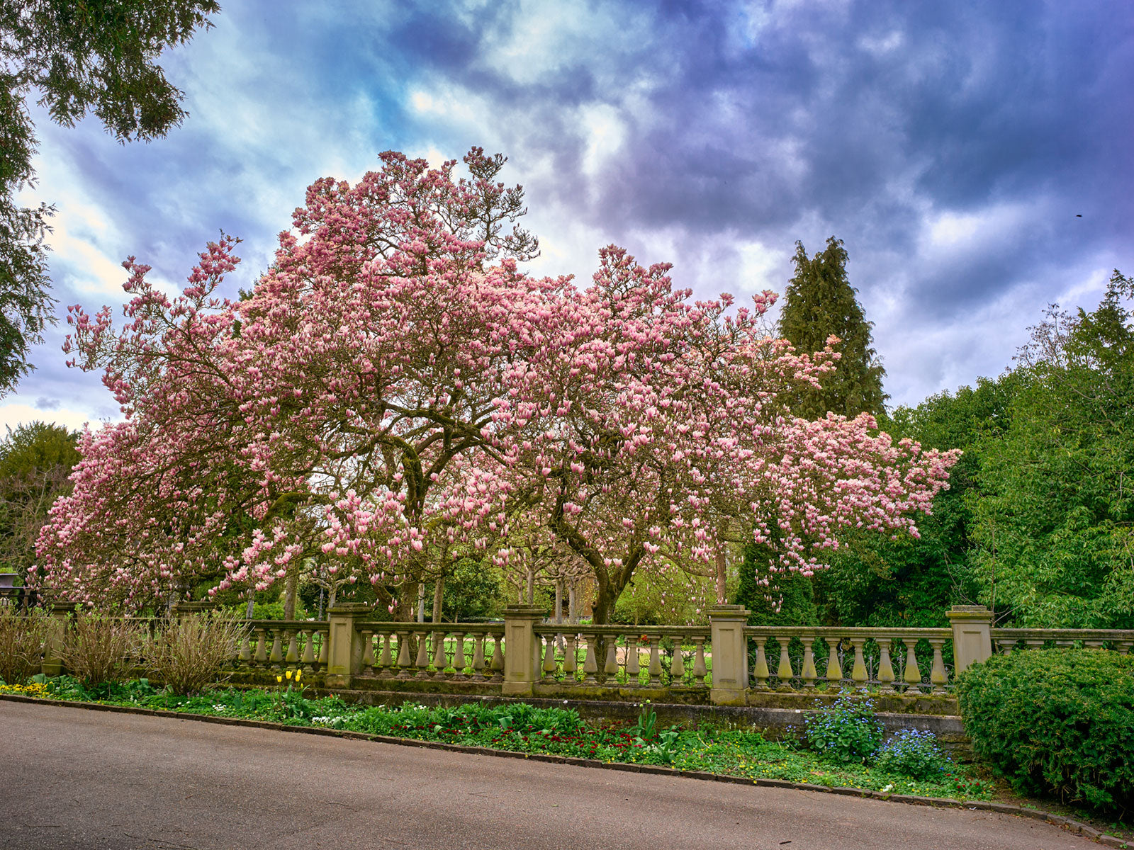 Schlosspark Bad Kreuznach – Frühling im Park