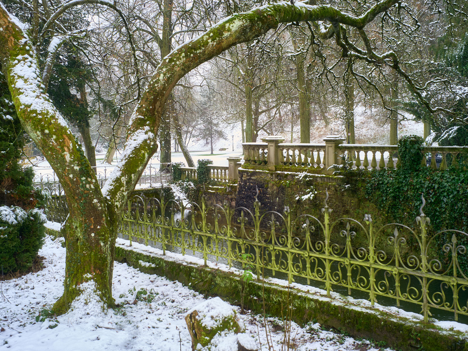 Schlosspark Bad Kreuznach – Winterstimmung am Schlossgraben